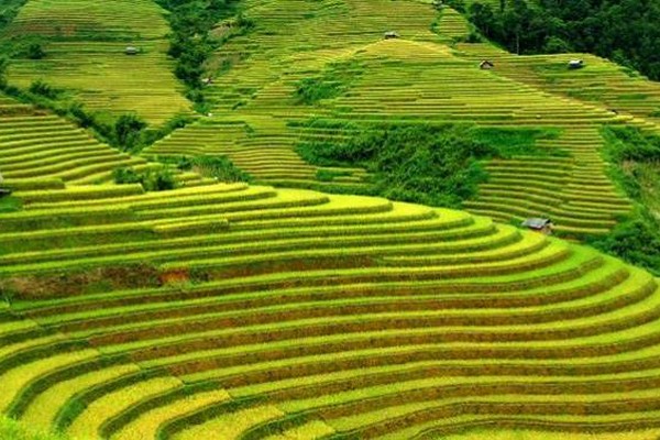 Cycling Vietnam up North.