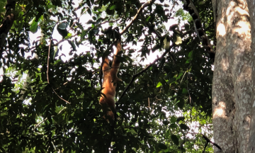 Cat Tien National Park Tour