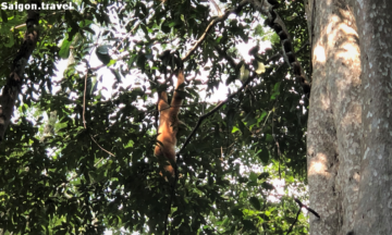 cat tien national park tour