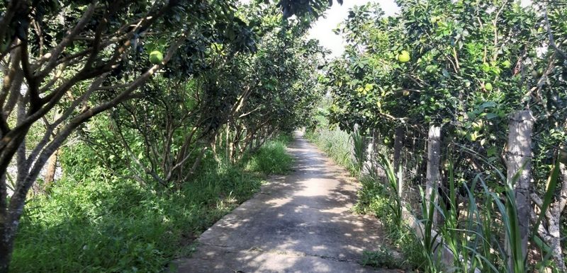 mekong delta tour