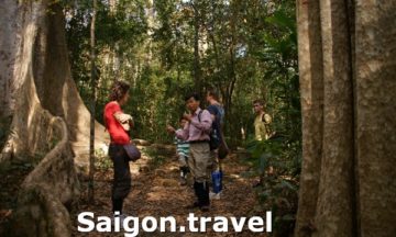 day tour to cat tien national park